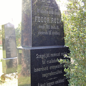 Fodor Roza