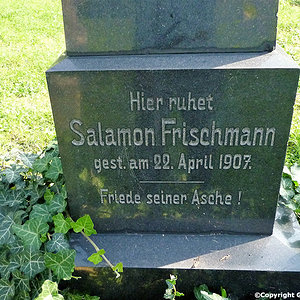 Frischmann Salamon