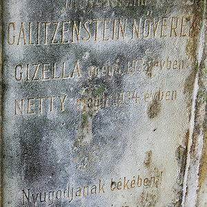 Galitzenstein Netti