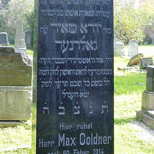 Goldner Max