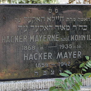 Hacker Mayer