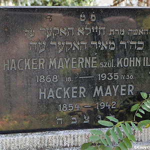 Hacker Mayerne
