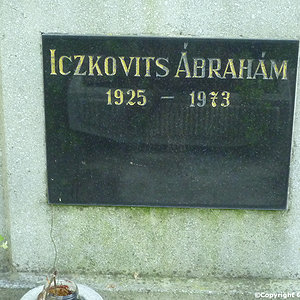 Iczkovits Abraham
