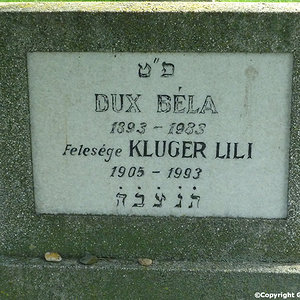 Kluger Lili