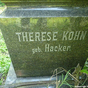 Kohn Therese
