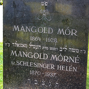 Mangold Mor