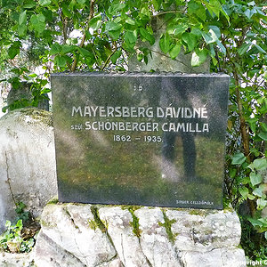 Mayersberg Davidne