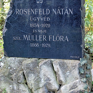 Müller Flora