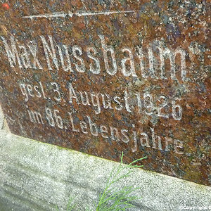 Nussbaum Max