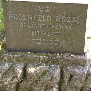 Rosenfeld Rozsi