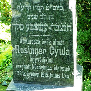 Rosinger Gyula