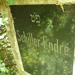 Schiller Endre