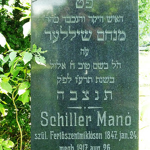 Schiller Mano