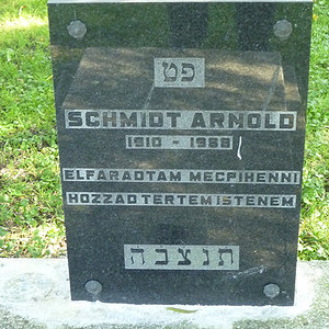 Schmidt Arnold