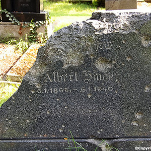 Singer Albert