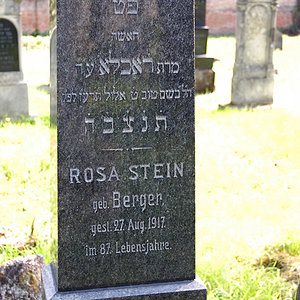 Stein Rosa