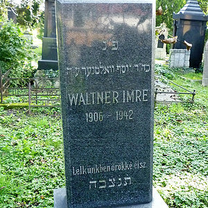 Waltner Imre
