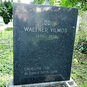 Waltner Vilmos