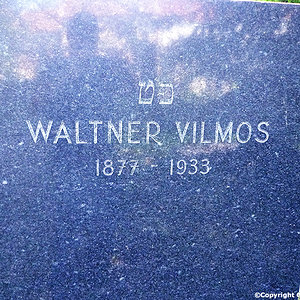 Waltner Vilmos