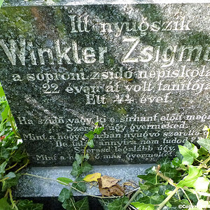 Winkler Zsigmond