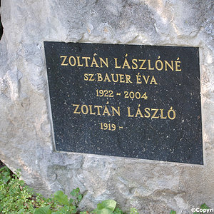 Zoltan Laszlone