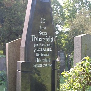 Thiersfeld Rosa