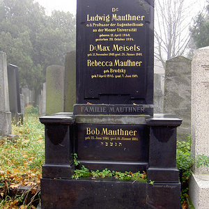 Mauthner Ludwig Dr.