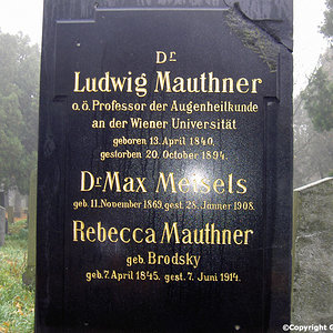 Mauthner Rebecca