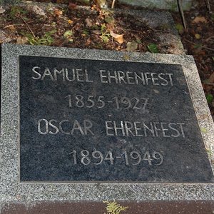 Ehrenfest Samuel