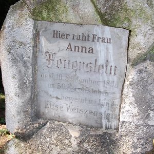 Feuerstein Anna
