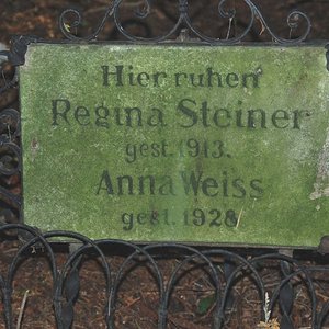 Steiner Regina