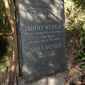 Weiner Adolf