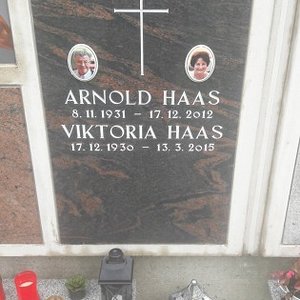 Haas Arnold