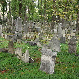 Währinger Friedhof 3