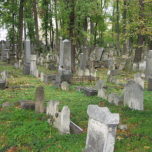 Währinger Friedhof 4