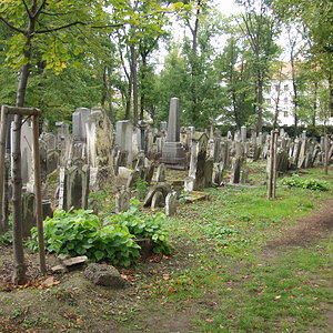 Währinger Friedhof 6