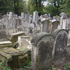 Währinger Friedhof 9
