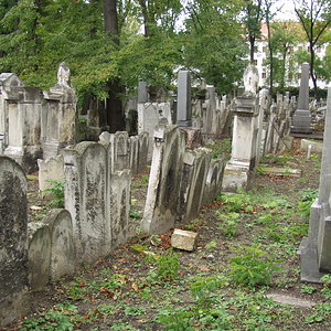 Währinger Friedhof 10