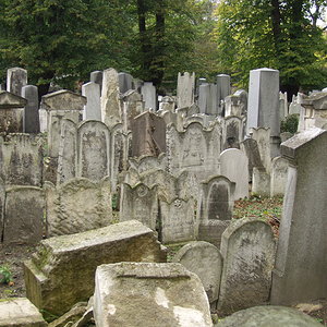 Währinger Friedhof 11