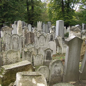 Währinger Friedhof 12