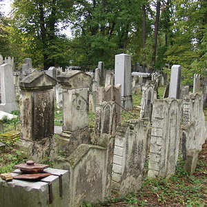 Währinger Friedhof 13