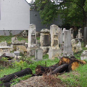 Währinger Friedhof 16