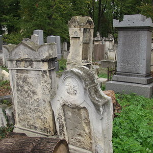 Währinger Friedhof 17