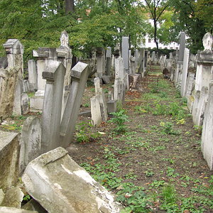 Währinger Friedhof 19