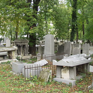 Währinger Friedhof 24
