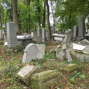 Währinger Friedhof 30