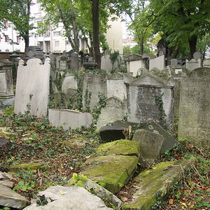 Währinger Friedhof 36