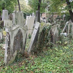 Währinger Friedhof 37