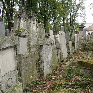 Währinger Friedhof 38