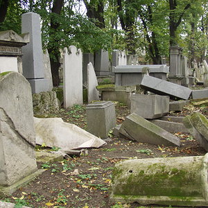 Währinger Friedhof 39